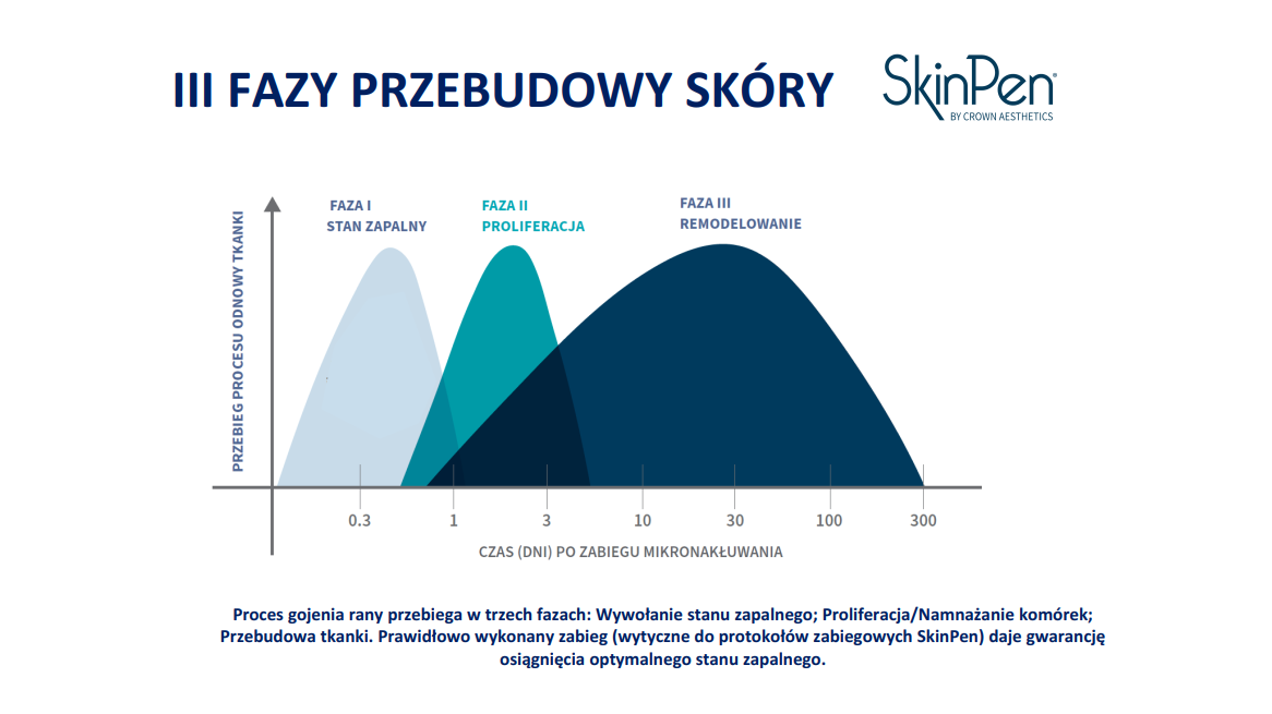 3 fazy przebudowy skóry SkinPen